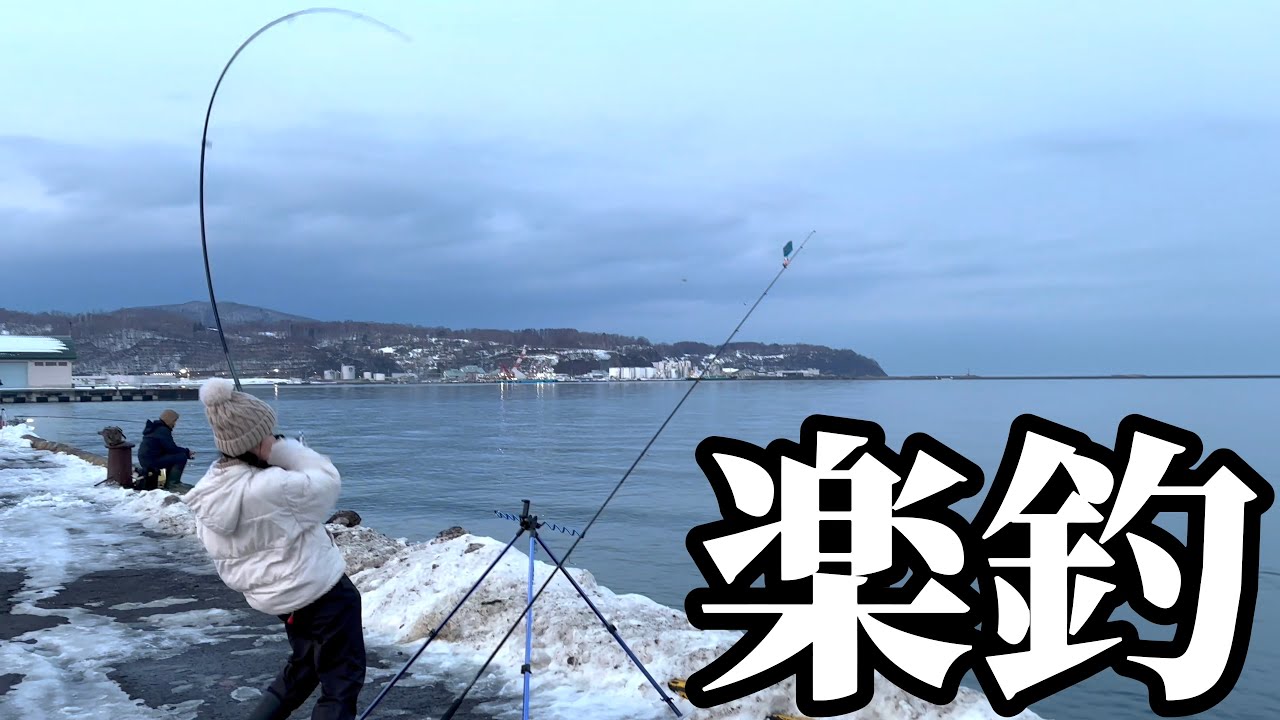 【北海道】【釣り】札幌近郊の超人気漁港で楽釣