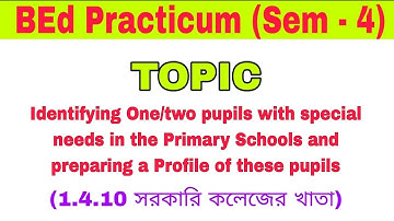Identifying one/two pupils with special needs in the primary school and preparing a profile | BEd 