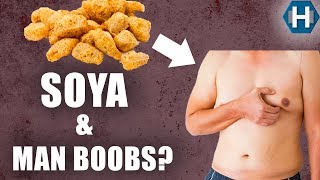 Does Soy increase Estrogen? Science Explained!
