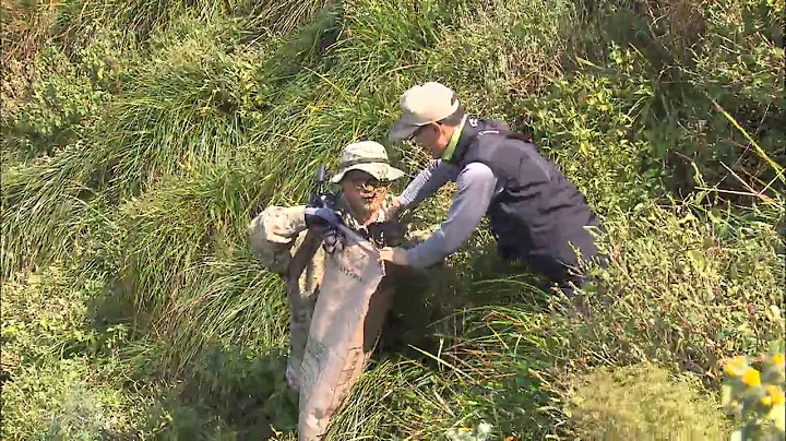 Invasive Plant Species