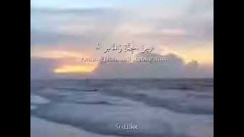 القارئ /آنس شهاب