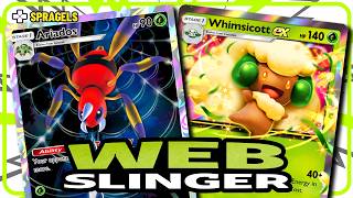 The Ariados + Whimsicott Combo Makes A New TOP TIER Deck @spragelsPocket