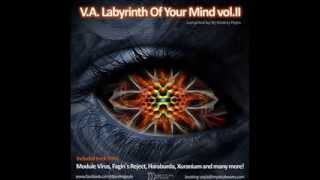Distorted Goblin - 0x20 (V.A. - LABYRINTH OF YOUR MIND vol. II - compiled by Ondrej Psyla)