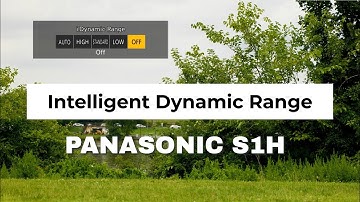 Panasonic S1H | I. Dynamic range test.