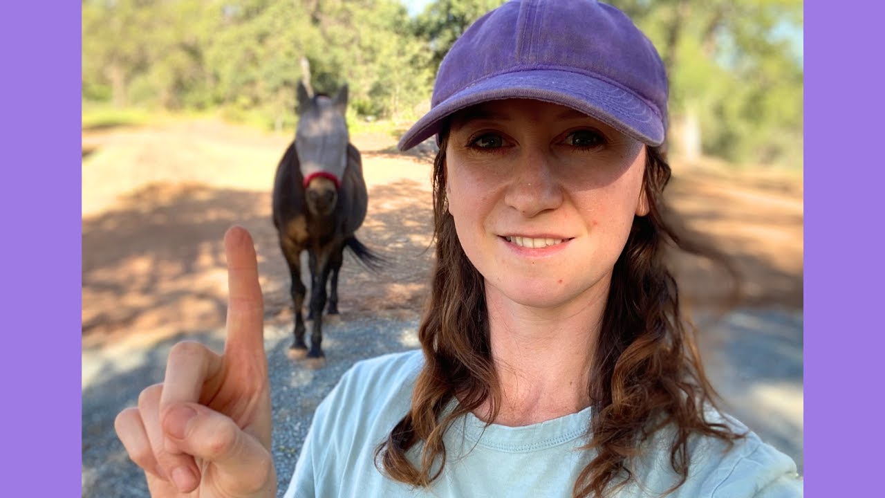 ВЛАДЕЛЬЦЫ ЛОШАДЕЙ: Посмотрите это, прежде чем расчищать копыта вашей лошади!