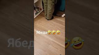 Хотел написать ЯБЕДА, а получилось дол... еб