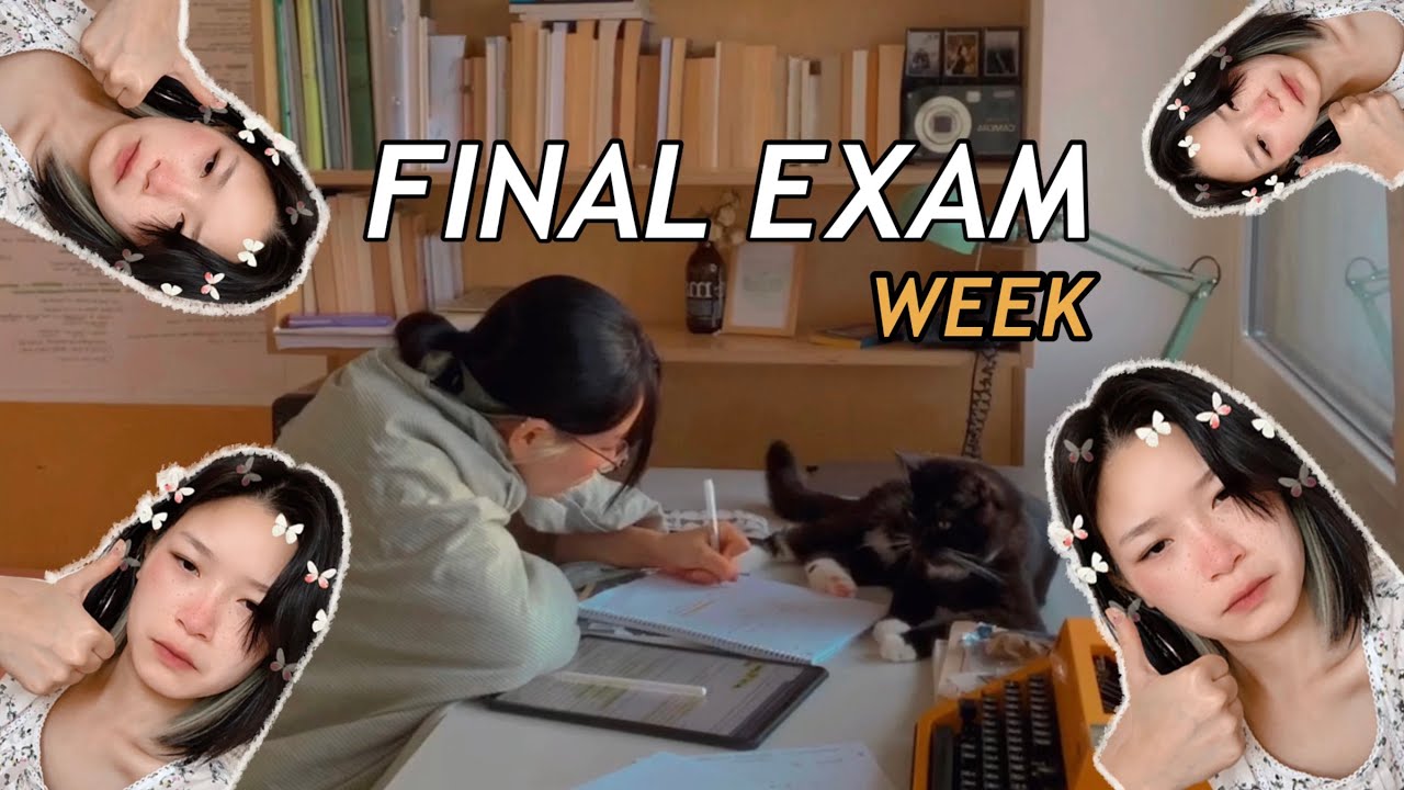 CUỘC SỐNG CỦA TRANG MÙA THI | STORMY ĐI LẠC 😱 | my20s