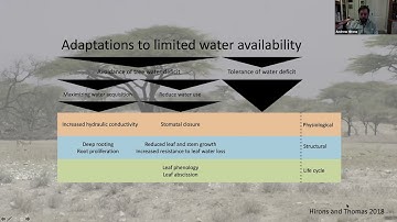 Andrew Hirons: How Plants Deal with Drought and Waterlogging