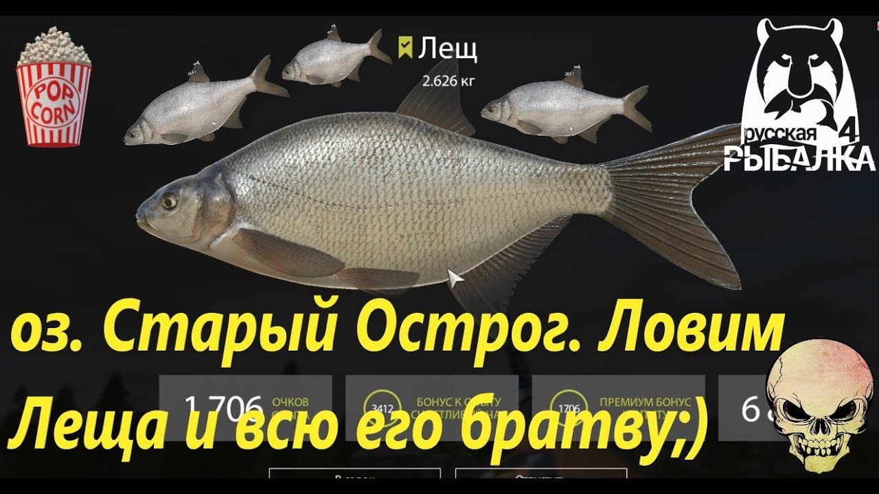 Рр3 волга подлещик