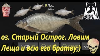 Русская Рыбалка 4. оз. Старый Острог. Точка для ловли Леща, Подлещика, Густеры и т.д.