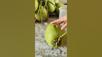 Genius Coconut Cracker Tool 🥥