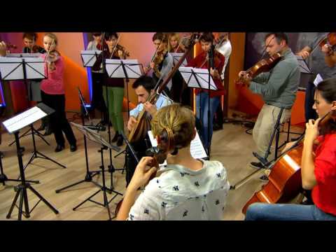 ,,საქართველოს სინფონიეტა’’ | Don Quixote