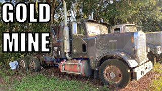 Very Rare Big Rigs in our Junk Yard Digging Adventure!