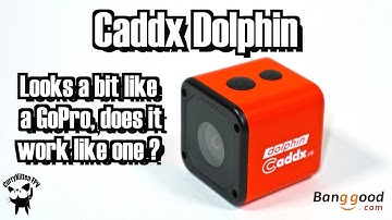 The Caddx Dolphin 1080p camera.  Supplied by Banggood