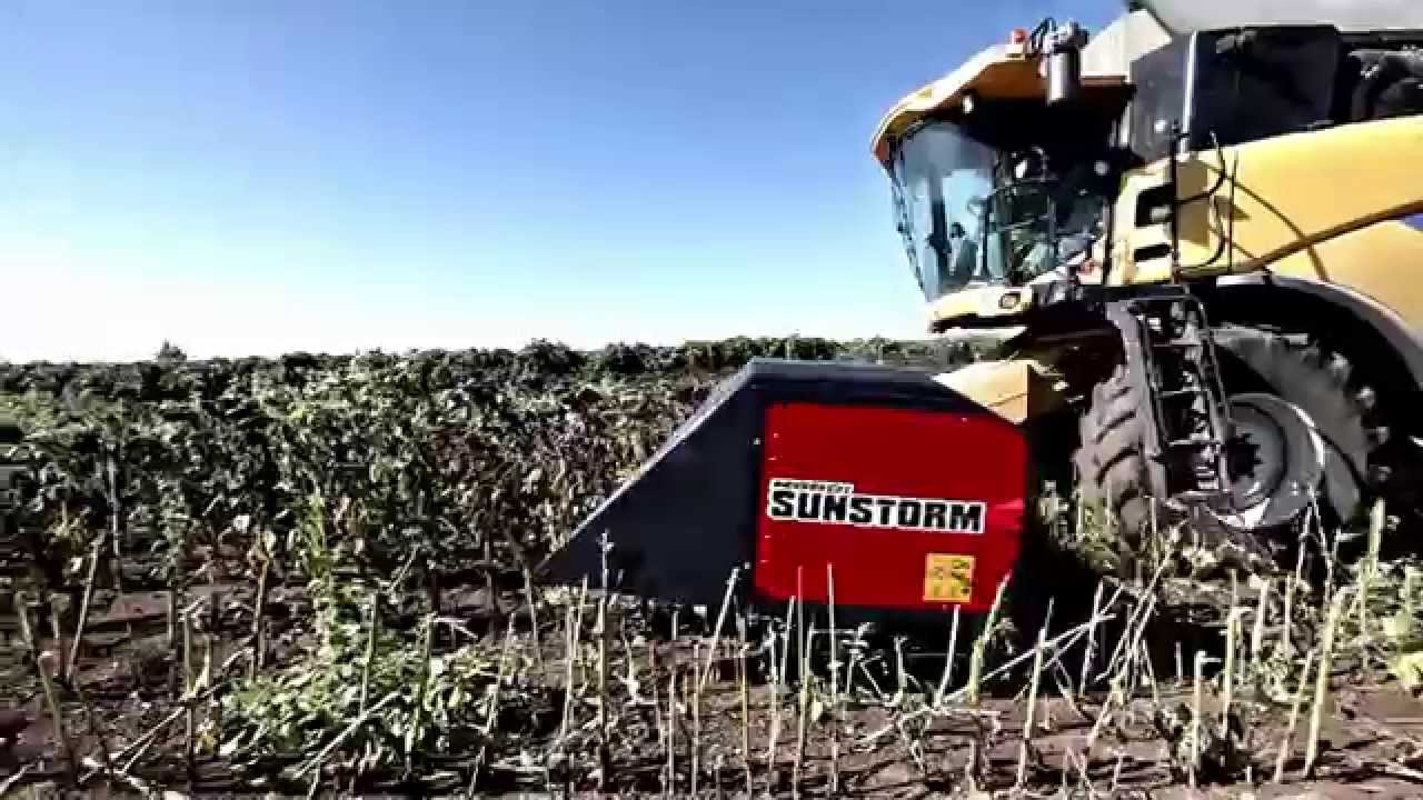 NARDI HARVESTING подсолнечниковая жатка сплошного среза Инагротех YouTube