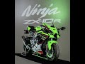 2021 Kawasaki Ninja ZX10R