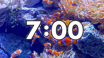 7 Minute Timer With Calming Music - Clown Fish - Ocean Fish - Sharks