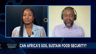 Is Africa’s soil healthy enough for food security? [Business Africa]