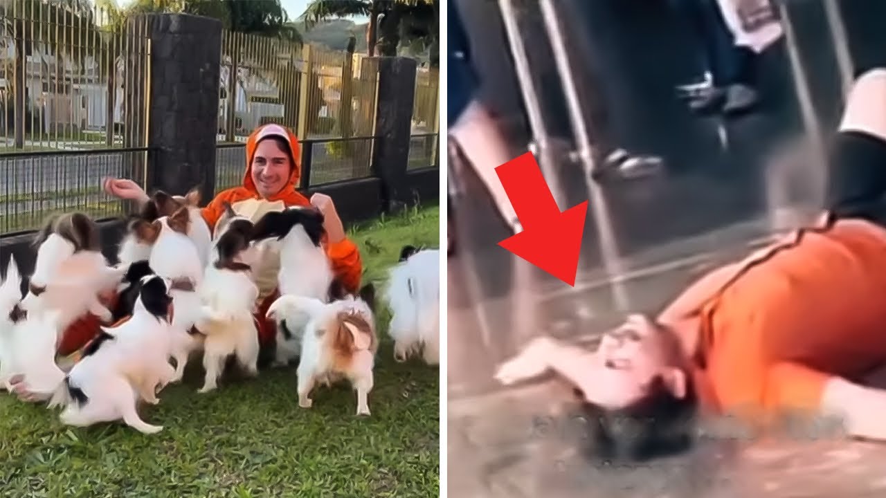 Man Goes Crazy After Losing his 4 Dogs at the Airport in Istanbul - YouTube