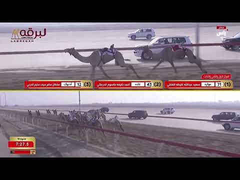 ش10 عوايد ل سعيد عبدالله غليطة الغفلي الوثبة الأسبوع الرابع 01 11 2025ص ثنايا بكار مهجنات 9 26 78