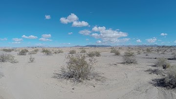 Expanded Moment in East Jesus