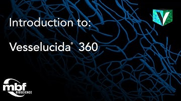 Introduction to Vesselucida 360