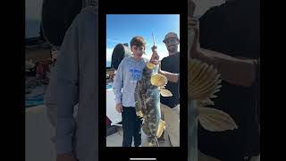my favorite saltwater catches last year#fishing #saltwaterfishing #strip #stripedbass #lingcod