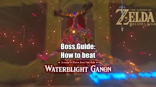 How To Beat Waterblight Ganon In Under 4 Minutes