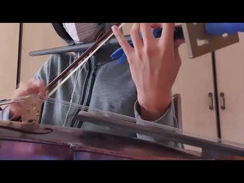Shadowgraph by MYTH & ROID violin cover