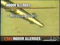 CNN Allergy Report Video