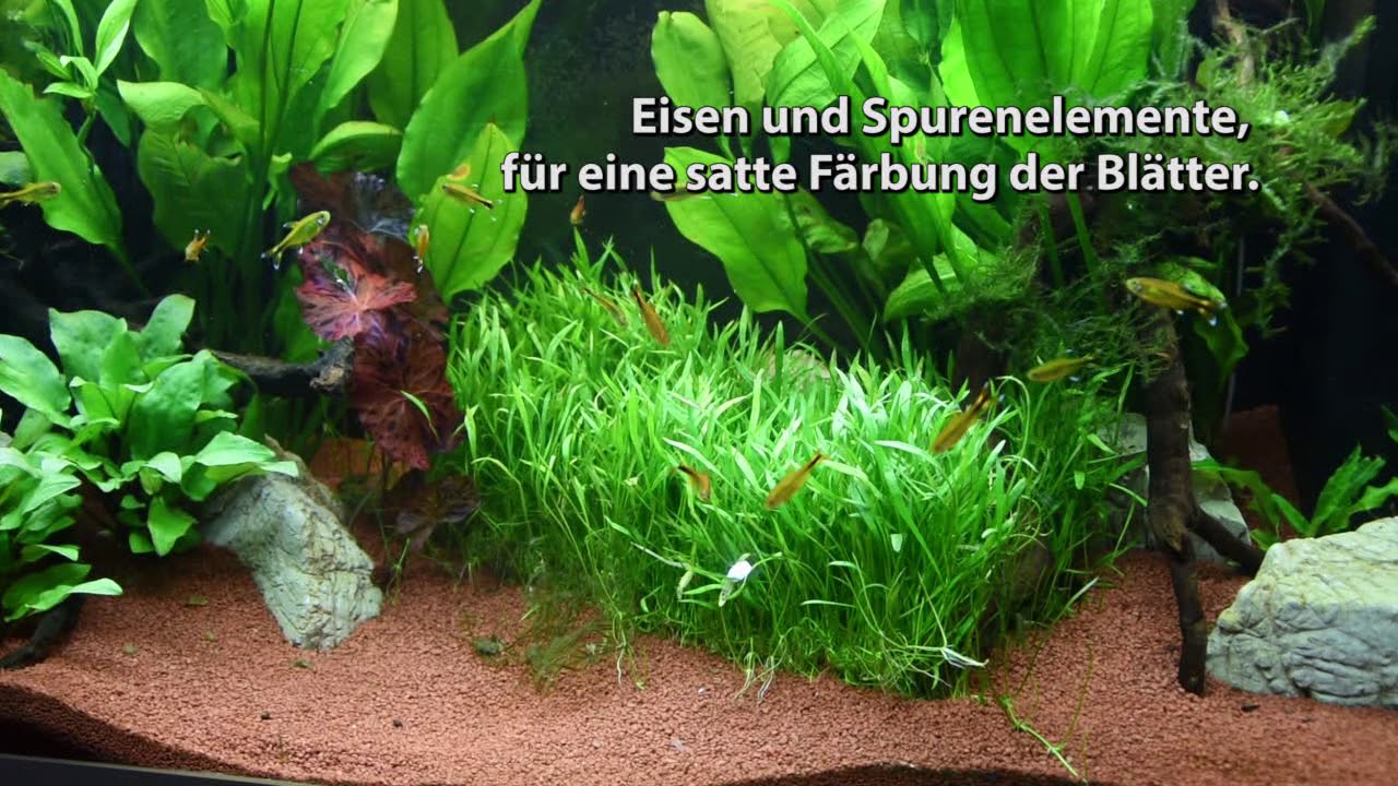 Sanoplant - CO2 Volldüngertabletten