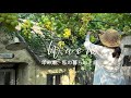 年の瀬、スローライフと一年を慈しむウィークエンドシトロン/暮らしのvlog
