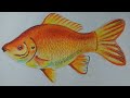 How to draw a gold fish with oil pastel | Kids Drawing