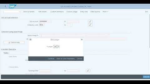 11 SAP S4HANA FICO General ledger Accounting Parking Clearing Revesin GL Document
