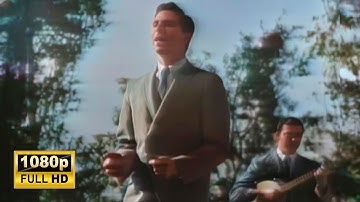 The Tokens - The Lion Sleeps Tonight (Wimoweh) 1961 Full HD Colorized