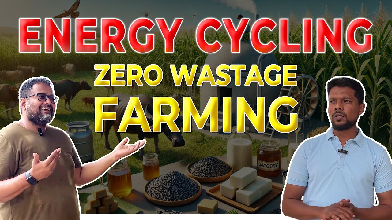 See How This Farm Recycles Energy Like Magic! (and an alternate dairy model)