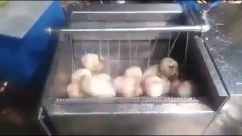 máy rửa khoai môn, khoai sọ, máy rửa cạo vỏ khoai tây, khoai lang, cà rốt củ cả0909134877