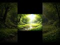 Title: Whispers of Rain in the Forest 🌧️🌲 #RelaxingNature #RainSounds #ForestAmbience #ASMR