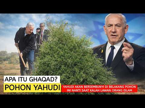 Tidak Ada Yahudi Dibelakangku!! Teriak Pohon Gharqad Diakhir Zaman Nanti