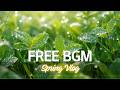 FREE No Copyright Music 🌸 | Spring Vlog BGM | Warm Acoustic (Free Download) | For Beginners