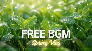 FREE No Copyright Music 🌸 | Spring Vlog BGM | Warm Acoustic (Free Download) | For Beginners