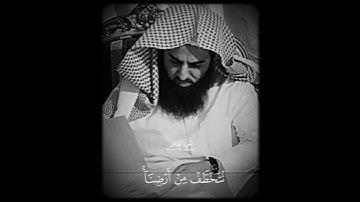 سوره القصص - الشيخ محمد اللحيدان 🌷🤍 #اكسبلور #لايك
