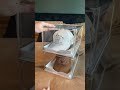 Where this been all our lives!? #storage #organize #hat #homehacks #tiktokshopcreatorpicks