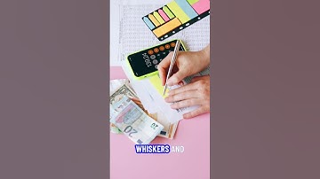 Meer dan nauwkeurigheid: de blik van AI uitgelegd