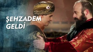 Şu Yakişikliliğa Bak Ayni Babasi Maşallah