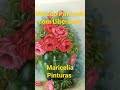 Rosas Vermelhas - Método Pintando com Liberdade