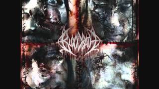 Trail Of Insects - BLOODBATH