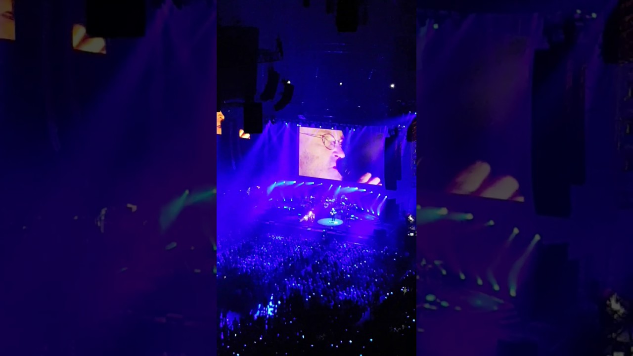 In the air tonight live phil collins Niklas Collins