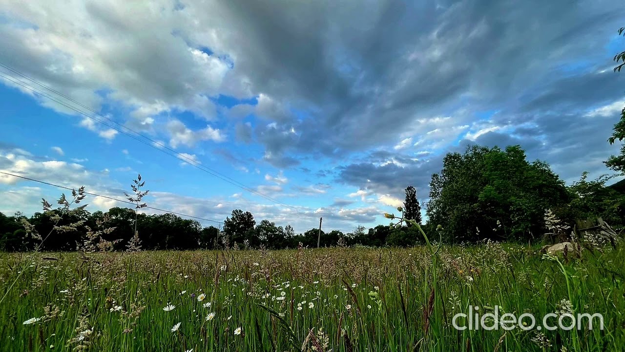 Рідний мій краю 