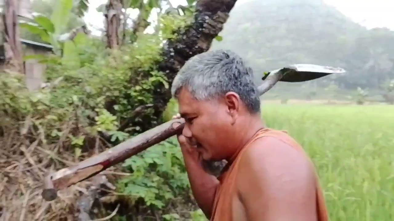 We are making a fishpond near the rice field, but the rain came in.